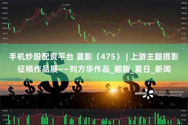 手机炒股配资平台 夏影（475） | 上游主题摄影征稿作品展——刘方华作品_胭脂_夏日_新闻