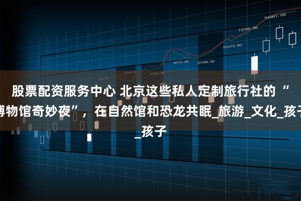 股票配资服务中心 北京这些私人定制旅行社的 “博物馆奇妙夜”，在自然馆和恐龙共眠_旅游_文化_孩子